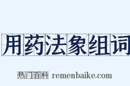 用药法象组词是什么意思的图片